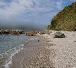 エギング釣行その17